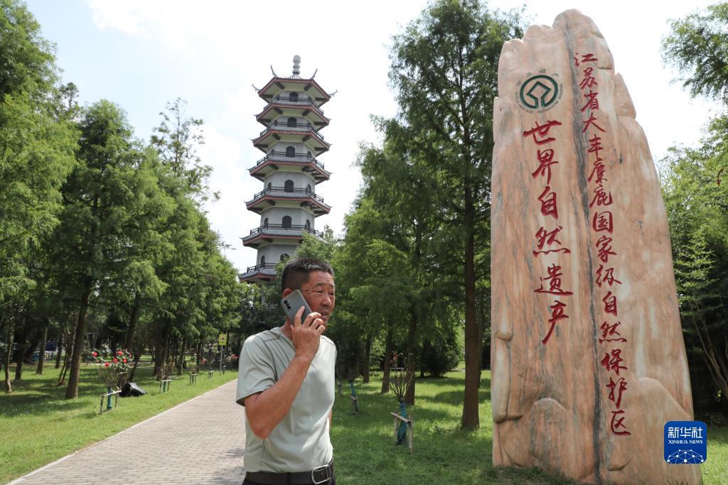 奔驰宝马电玩城